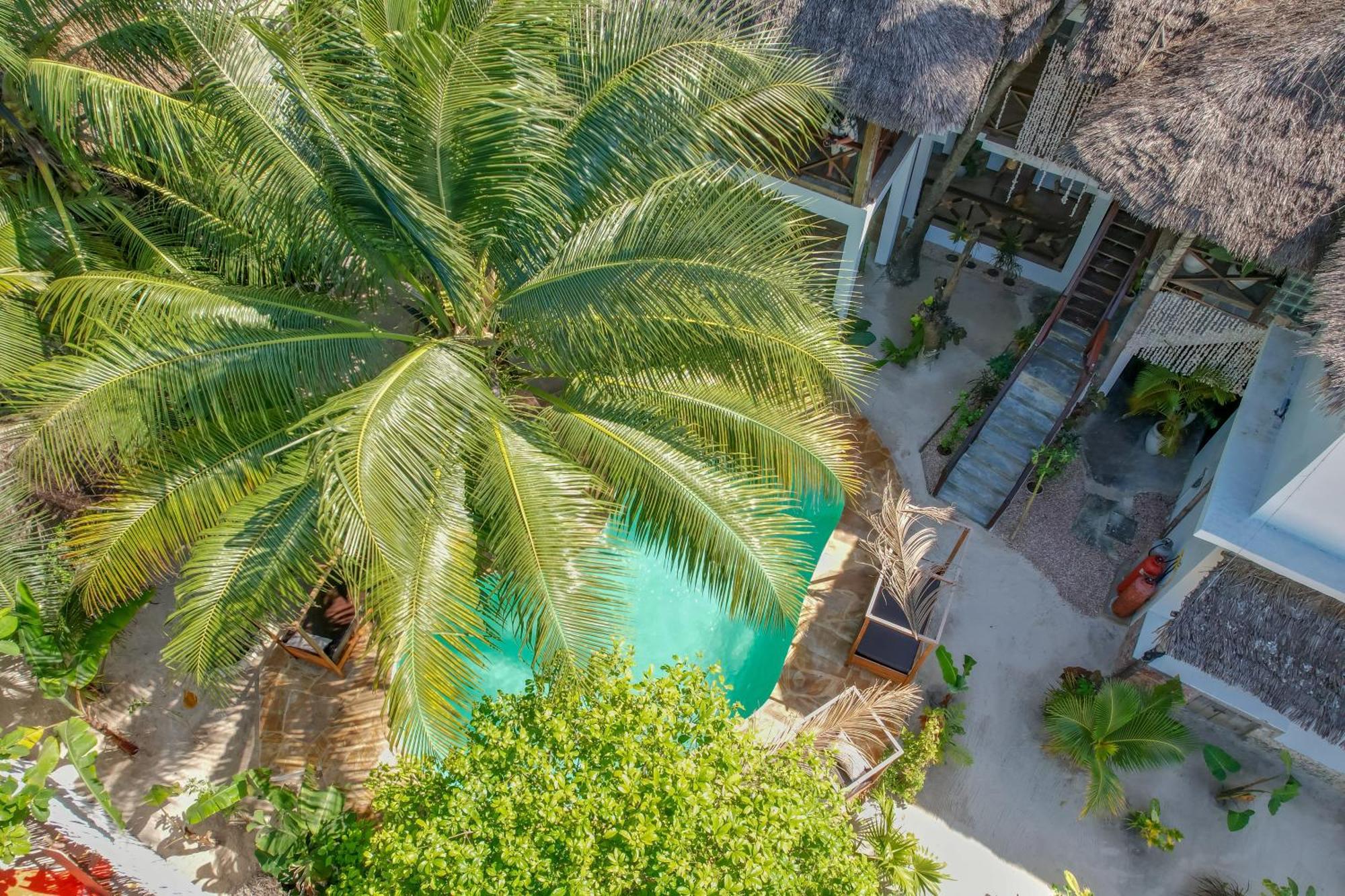 Bed and Breakfast Ocean Boho House Jambiani  Exterior foto